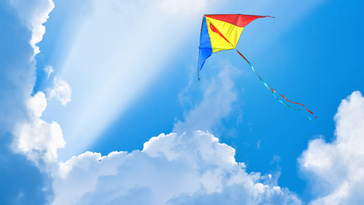 Deals Premier Kites & Designs Store -Deals Premier Kites & Designs Store image